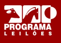 programa-leiloes-fundo 1